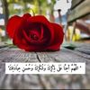 user8017353465383