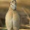 user0027farhanwazir
