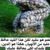 om_elan234