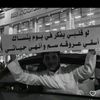 alie7973