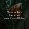 cortesvictor28