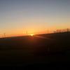 joseph_44322_