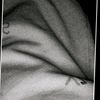sean_dlz