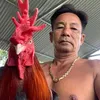 nguyendoan7156