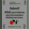Hamza kurt