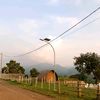 angquay04