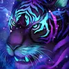 elitetiger09