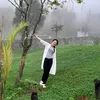 dsthuychi