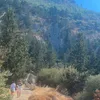 nicolatempleman81