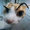 zann_yz