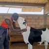 toubamadiyanagueye