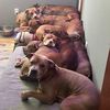 prettyprettypitties