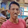 andiqilfi