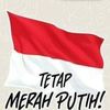 nelin349