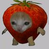 ilovecats_2100