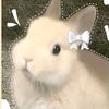 alice99th