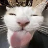 wh1tem1nt