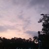 aaskurnia5
