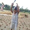 mdlalmia0027
