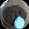capybara5018