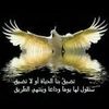 user2131421113074