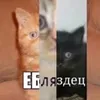 user6nv1wnncg9