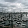 lilie_33