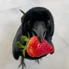 alananarzana