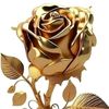 salahchouar802