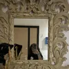 anto_laurii