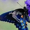user81931980437581