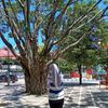 kakgtisukacwk
