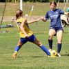 miaa.will14