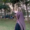 vitta1161