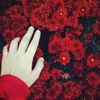 miss_0062