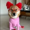 _nhaai011