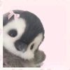 aimi_cuteee