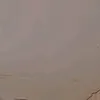 arayyyan4