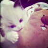 lrvdhiya._