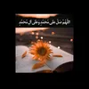 safa...30