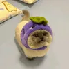 t.ha_1703