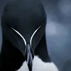 nhanlavip123_