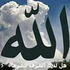 mustapha.mol.lmeli