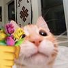 thao_thinne