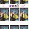 panh18.10