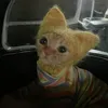 tmdmext