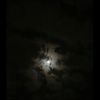 harb_1116