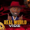 realworldvidz