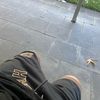 mx.tmich