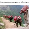 krasirusev335